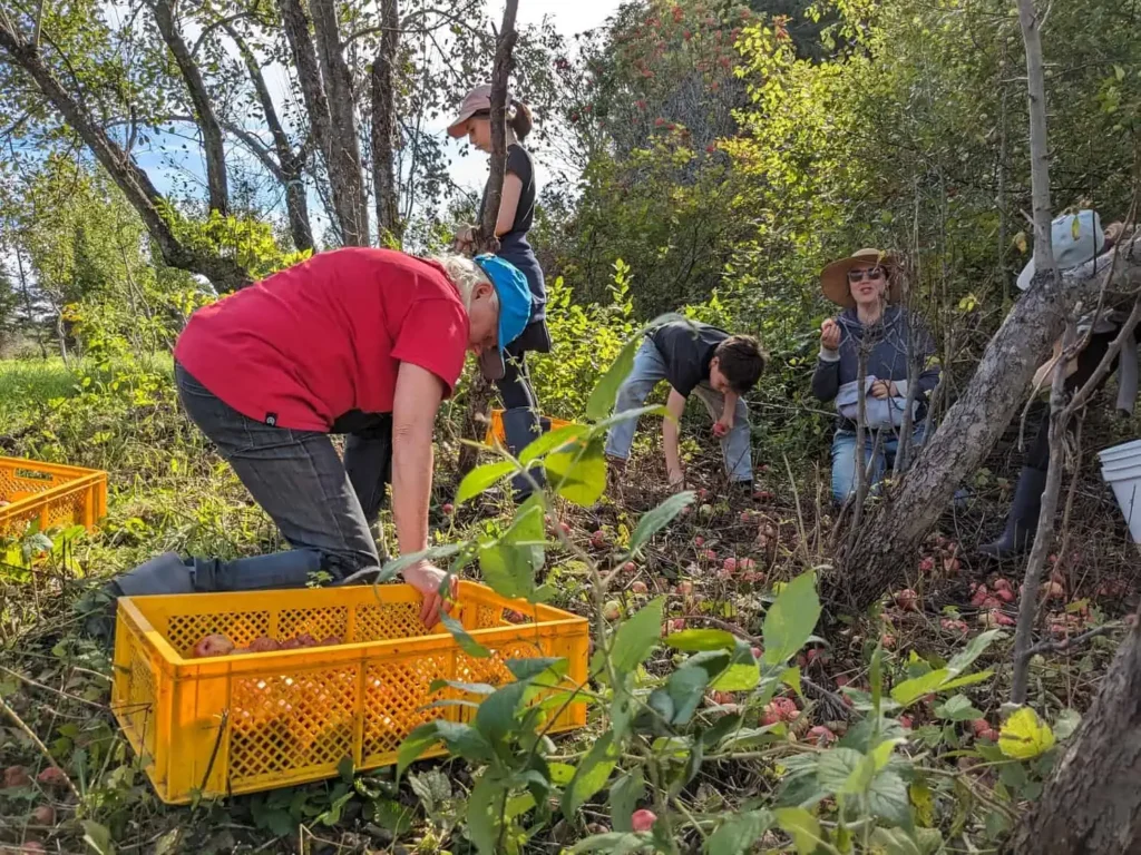 beauty cidrerie enracine7