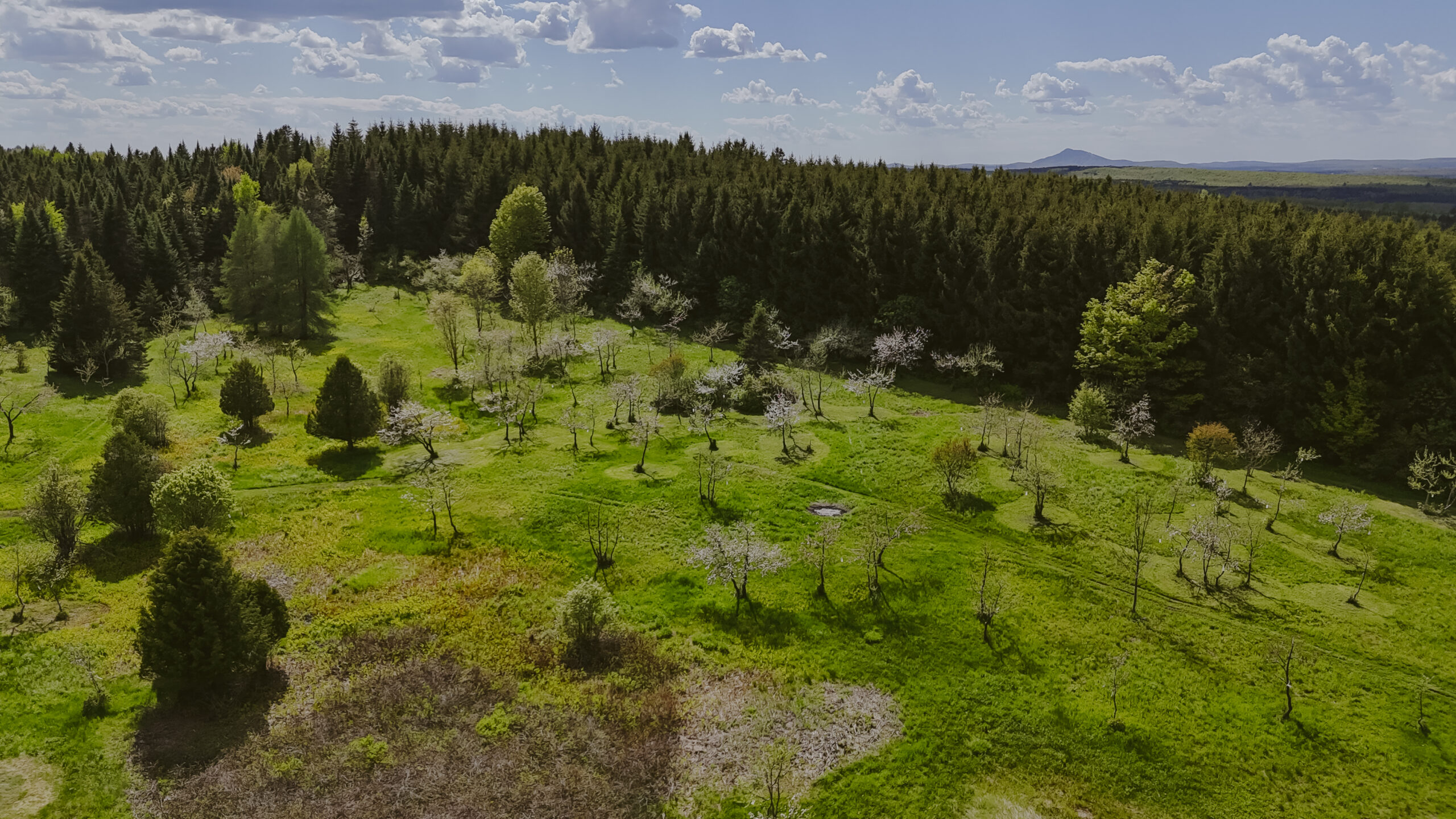 photo : stéphane bourgeois